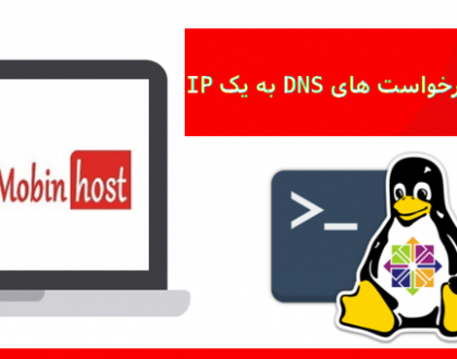 ریدایرکت کردن همه درخواست های DNS به یک IP