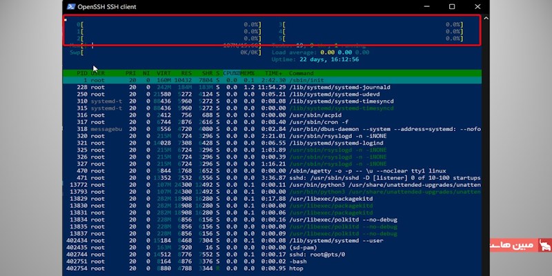 مصرف پردازنده در htop