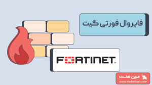 فایروال فورتی گیت