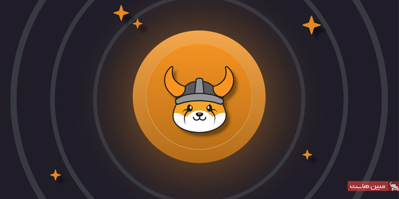 میم کوین فلوکی اینو