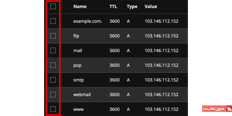 انتخاب یکی از رکوردهای dns با انتخاب گزینه تیک کنار آن