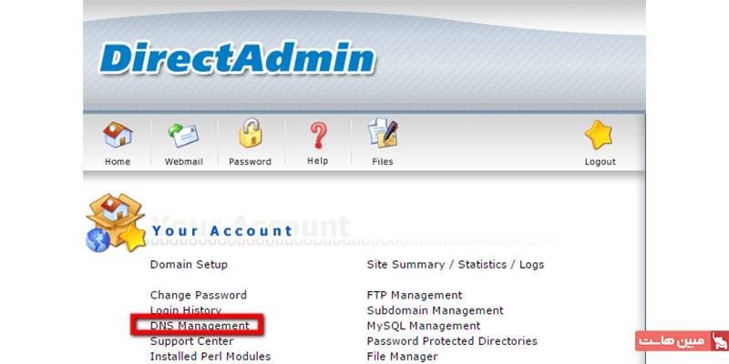 dns management در دایرکت ادمین